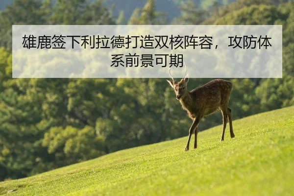 雄鹿签下利拉德打造双核阵容，攻防体系前景可期